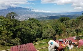 Escapadita Al Bosque